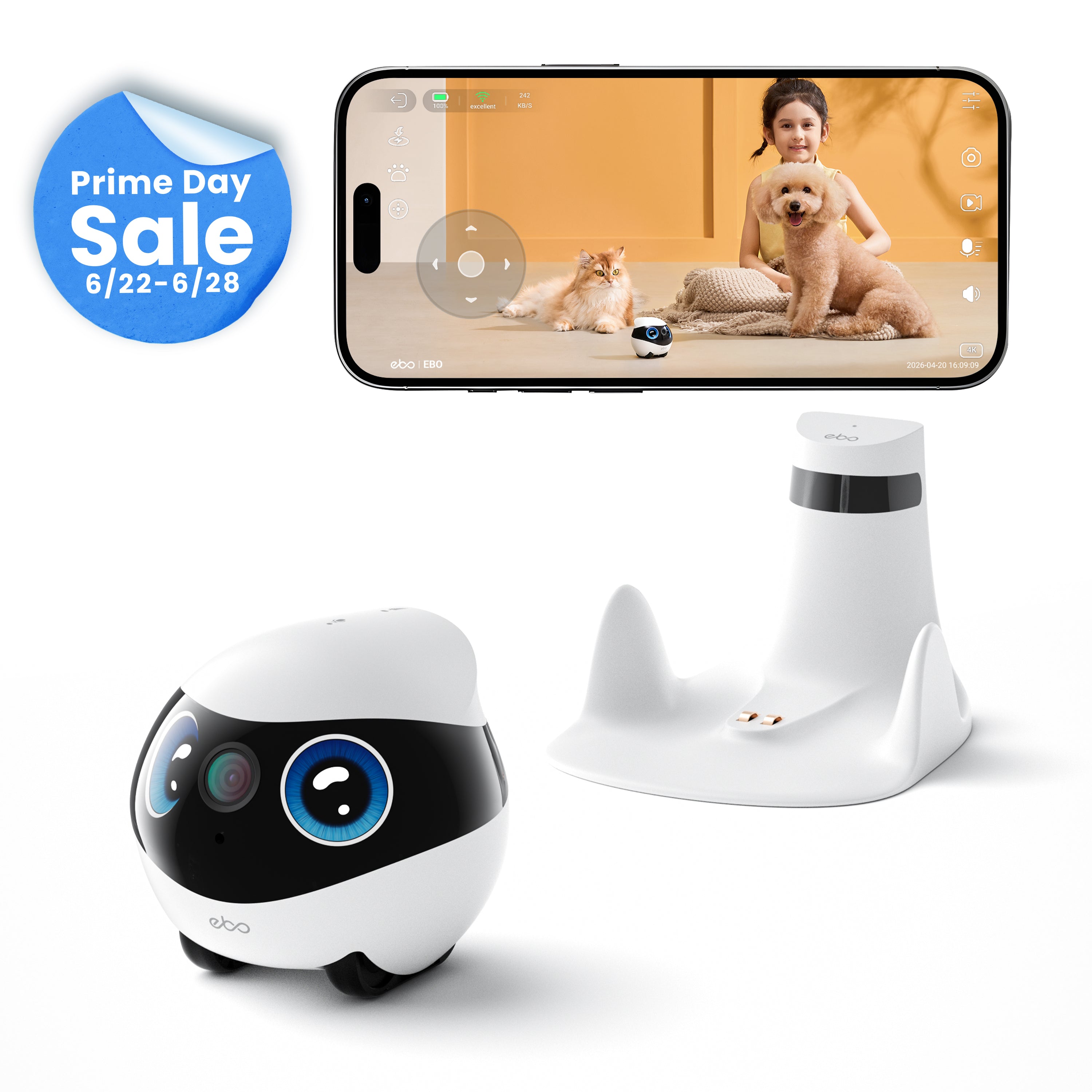 EBO Mini FamilyBot