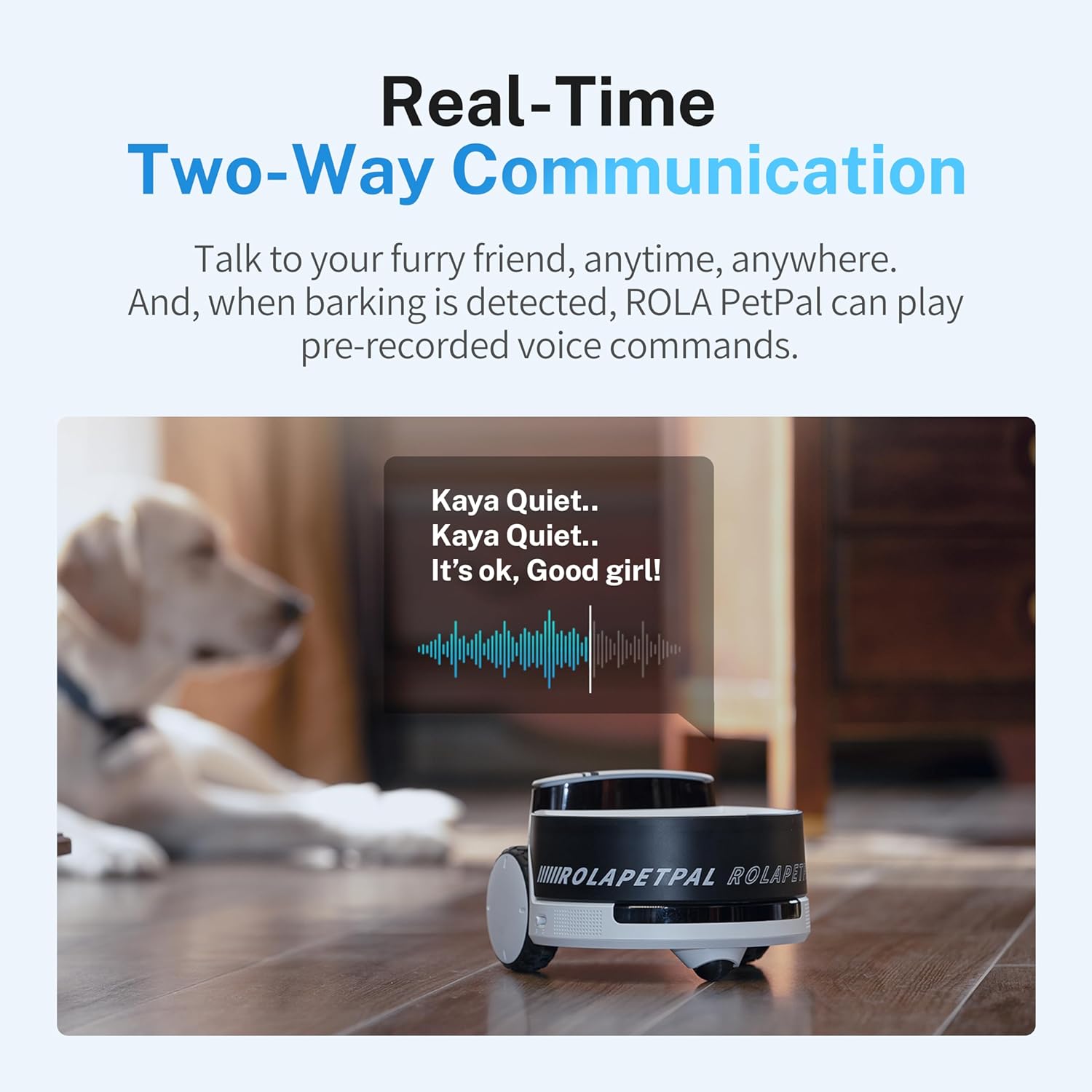 ROLA PetPal Robot Pet Companion